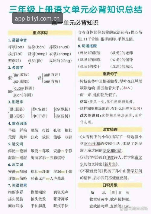 掌握必一体育平台实用技巧，高效获取必一b下载地址的必备知识