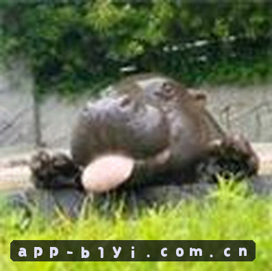 张婷