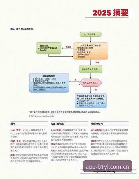 必一体育平台2025版实战操作教程：从功能解析到安装验证的完整指南